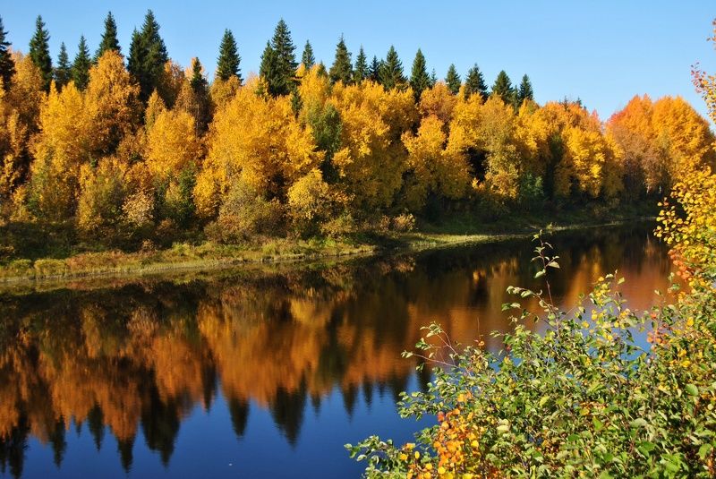 Красильникова, Russia