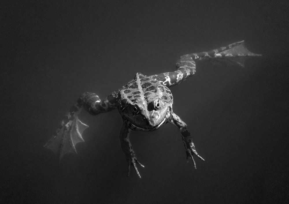 Невесомость