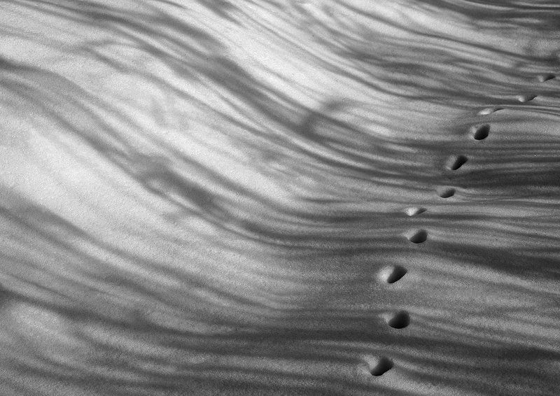 Антон Воронин, Russia