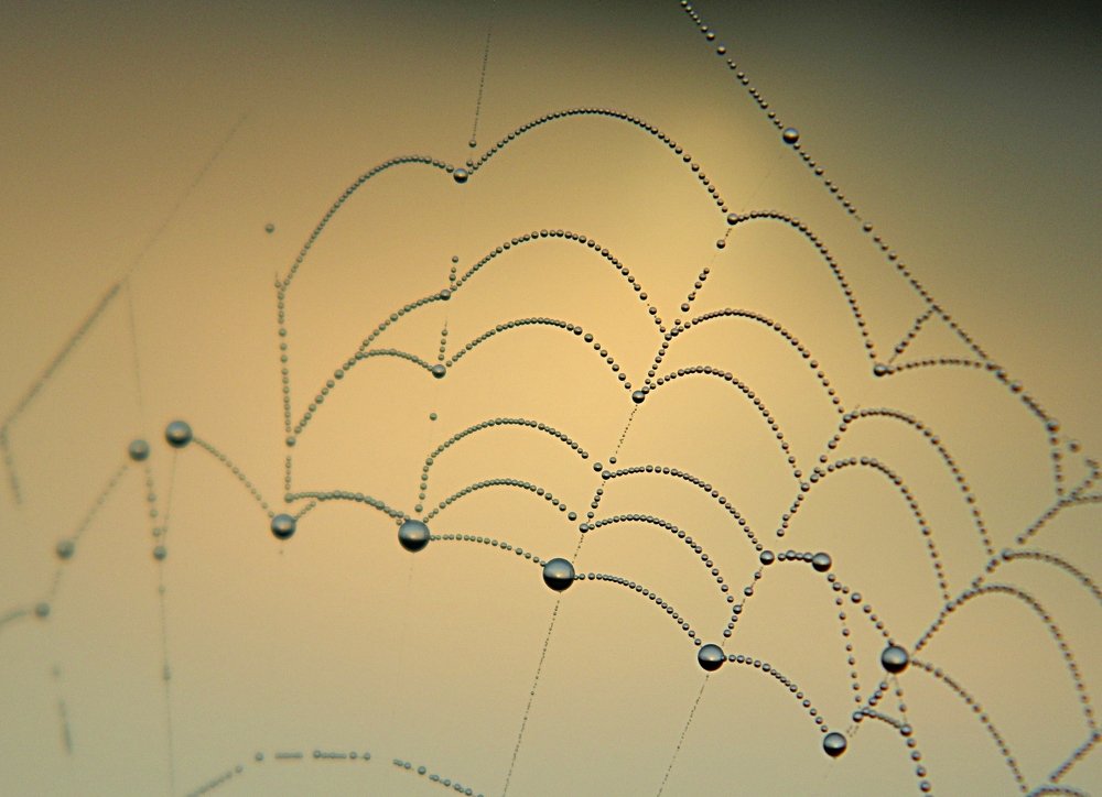 "Кокошник Царевны"