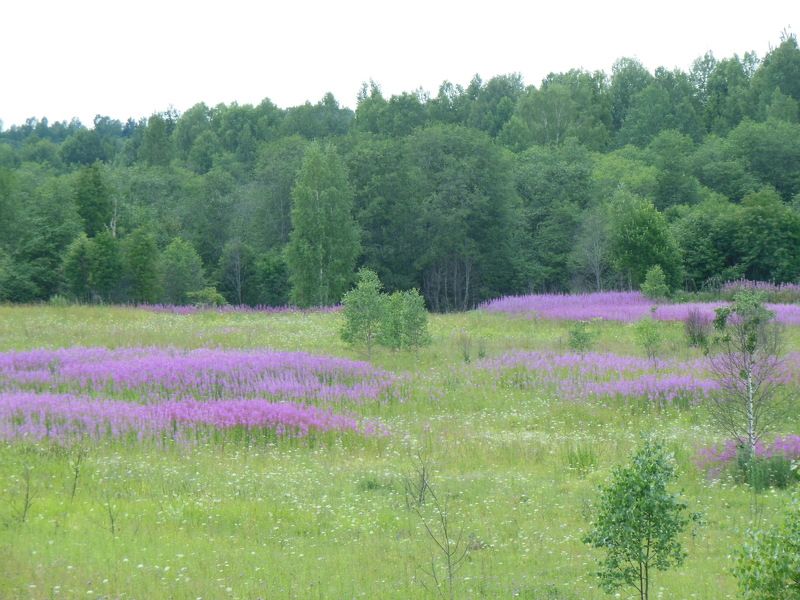 Иванова Анастасия, Russia