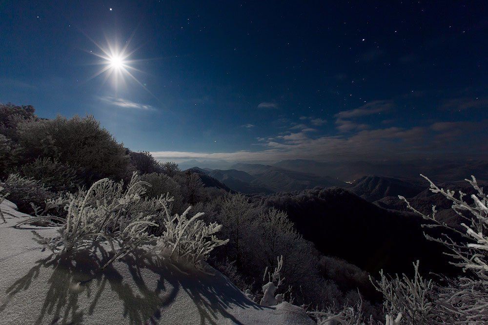 Волчье солнце.