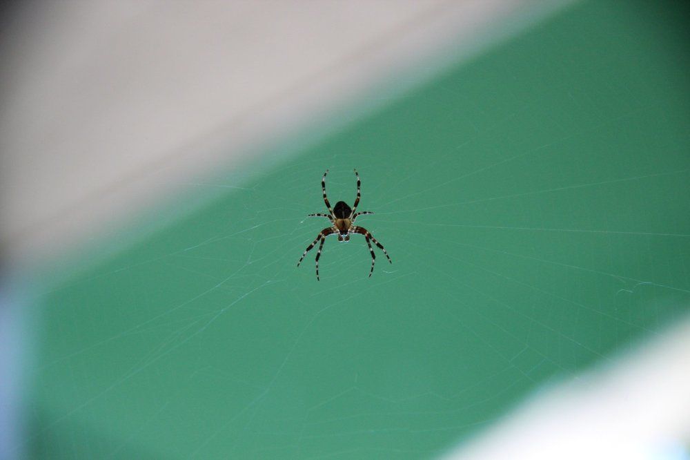 Photograph by Екатерина