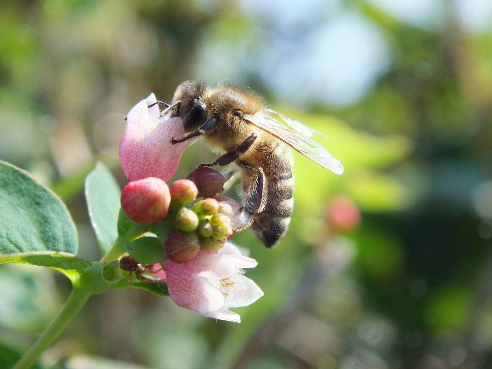 Photograph by Irina Weber