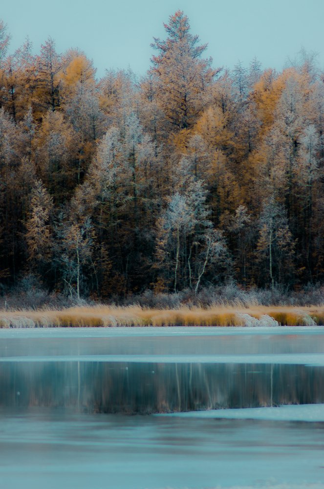 Photograph by Евгений