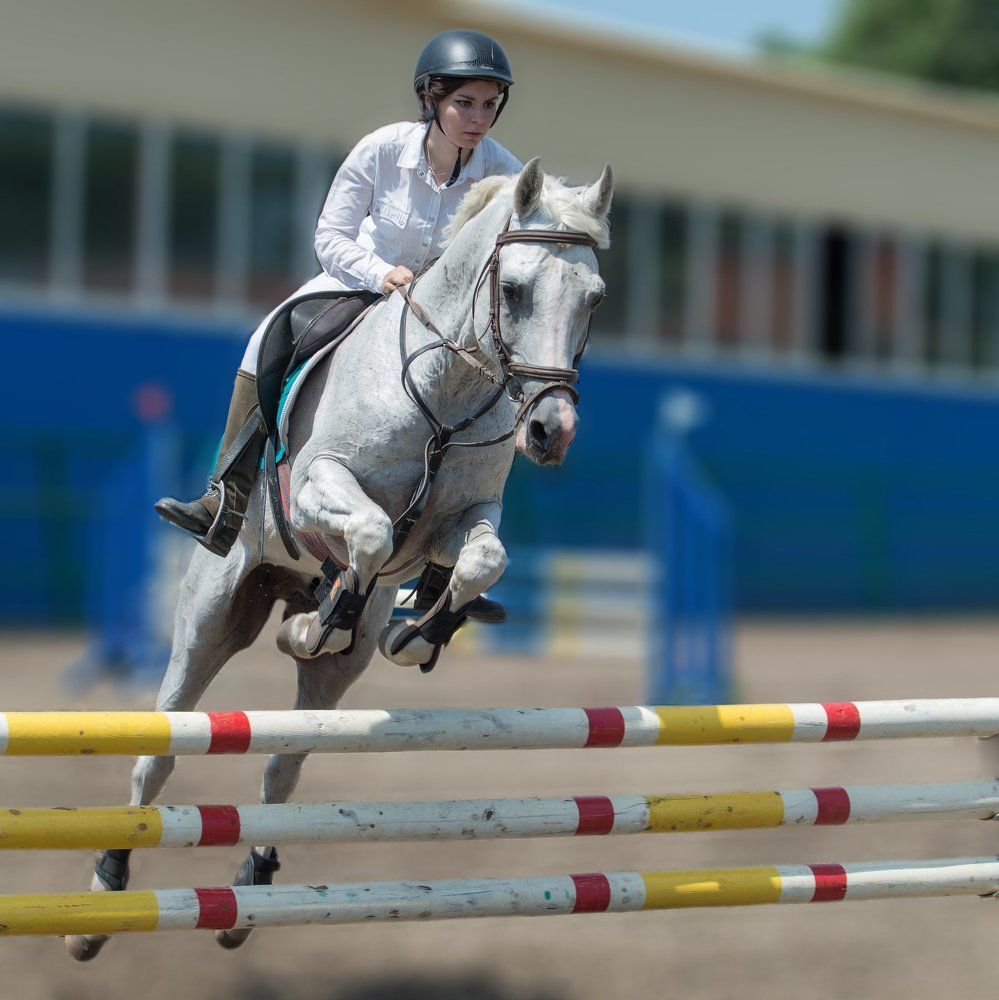 Последний барьер!