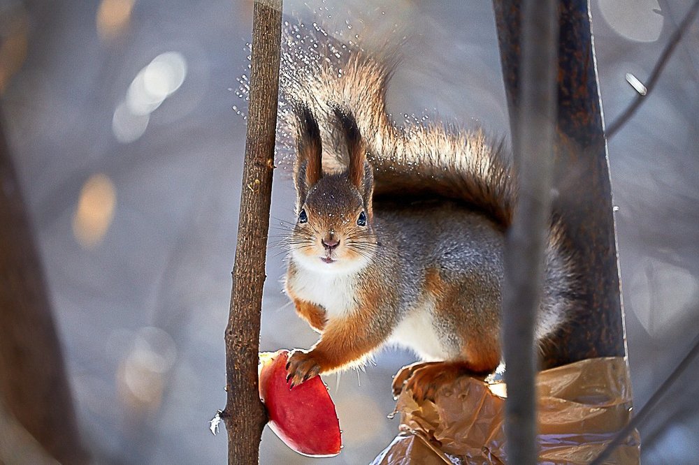 Фотомодель)))