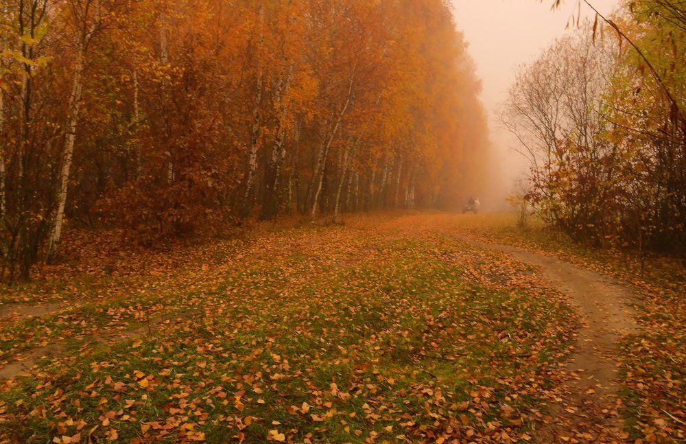Осень золотая