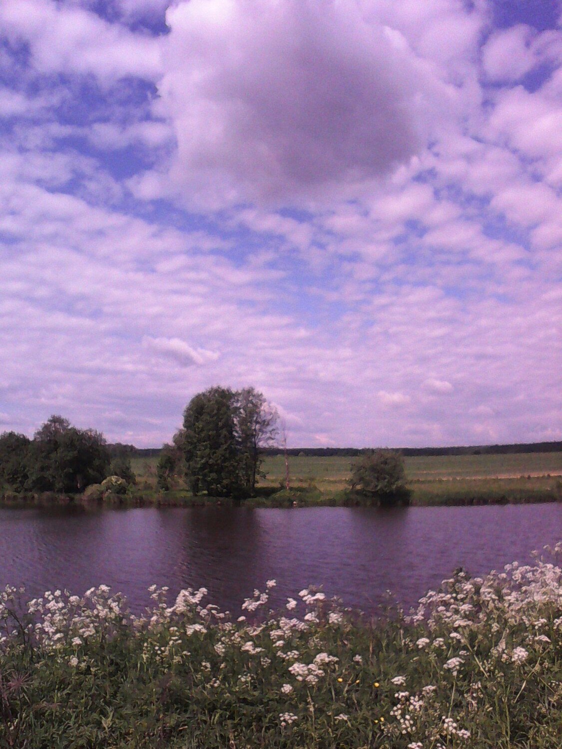 Photo #1082004