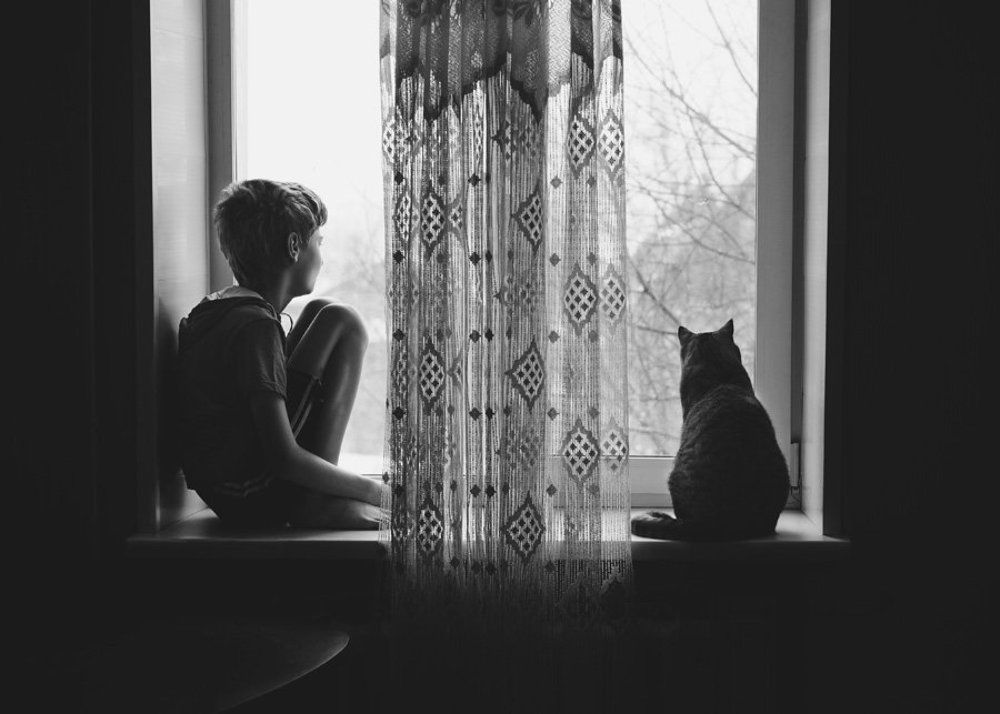 Что там, за окном?