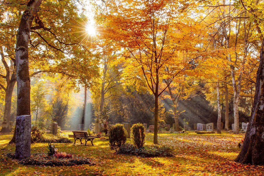 Photograph by Екатерина