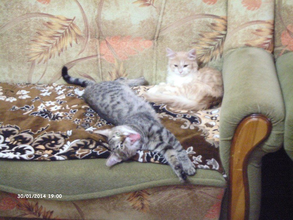 Photograph by Елена