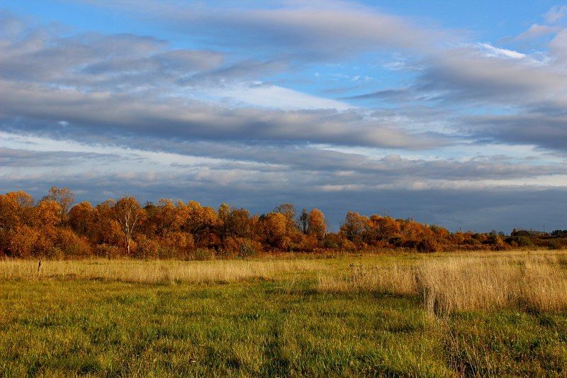 Anna Saushina, Russia