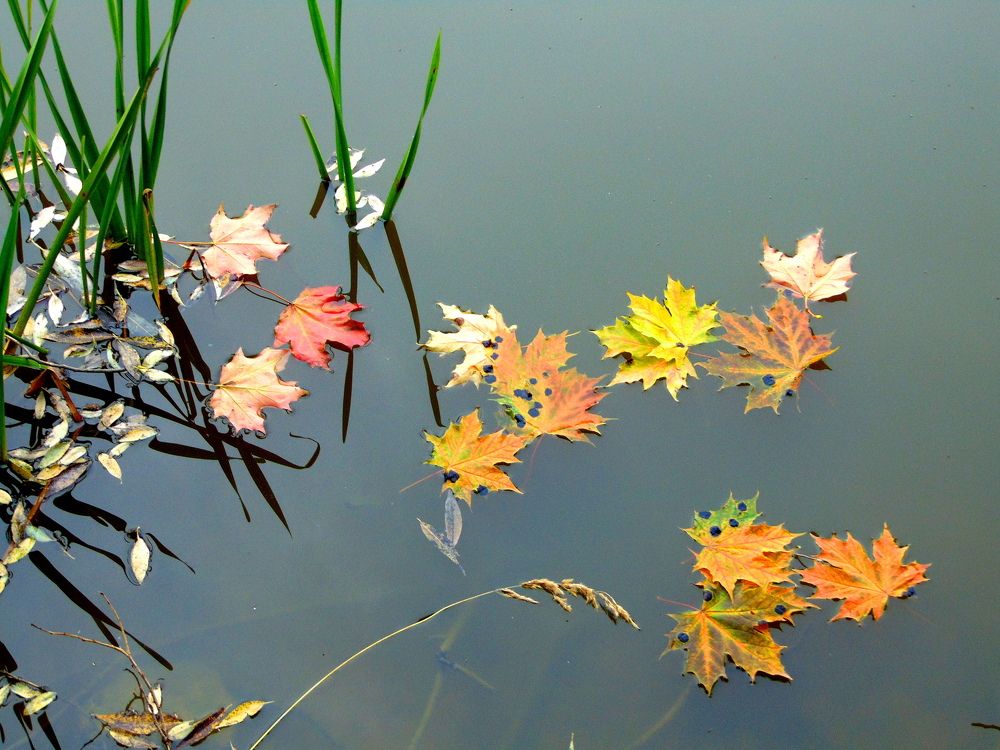 Спокойствие