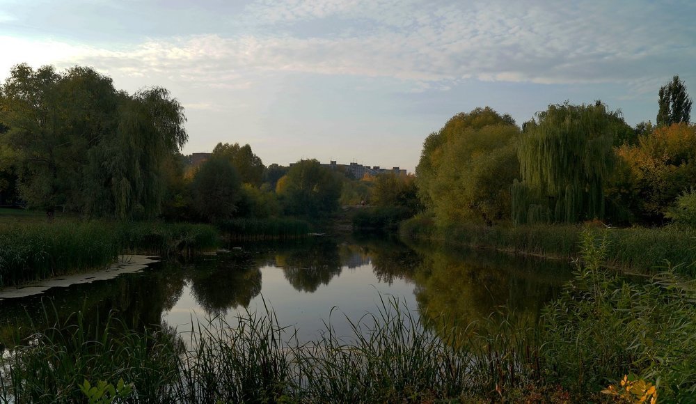 оазис в мегаполисе