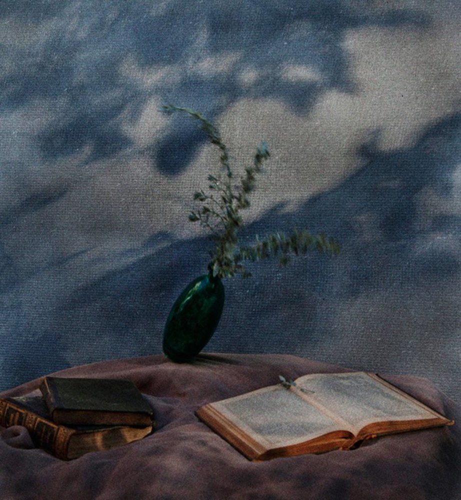 Застывшее падение