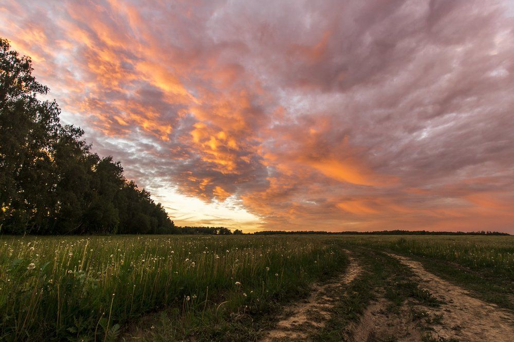 С гиеной огненной