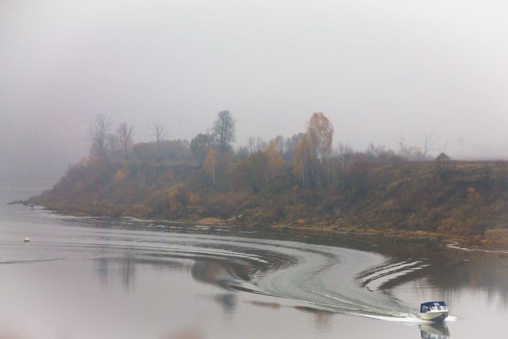 Туманы Тарусы