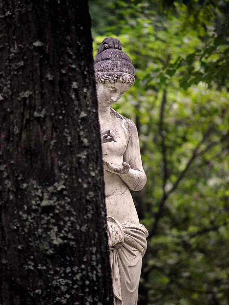 Уединение с природой.