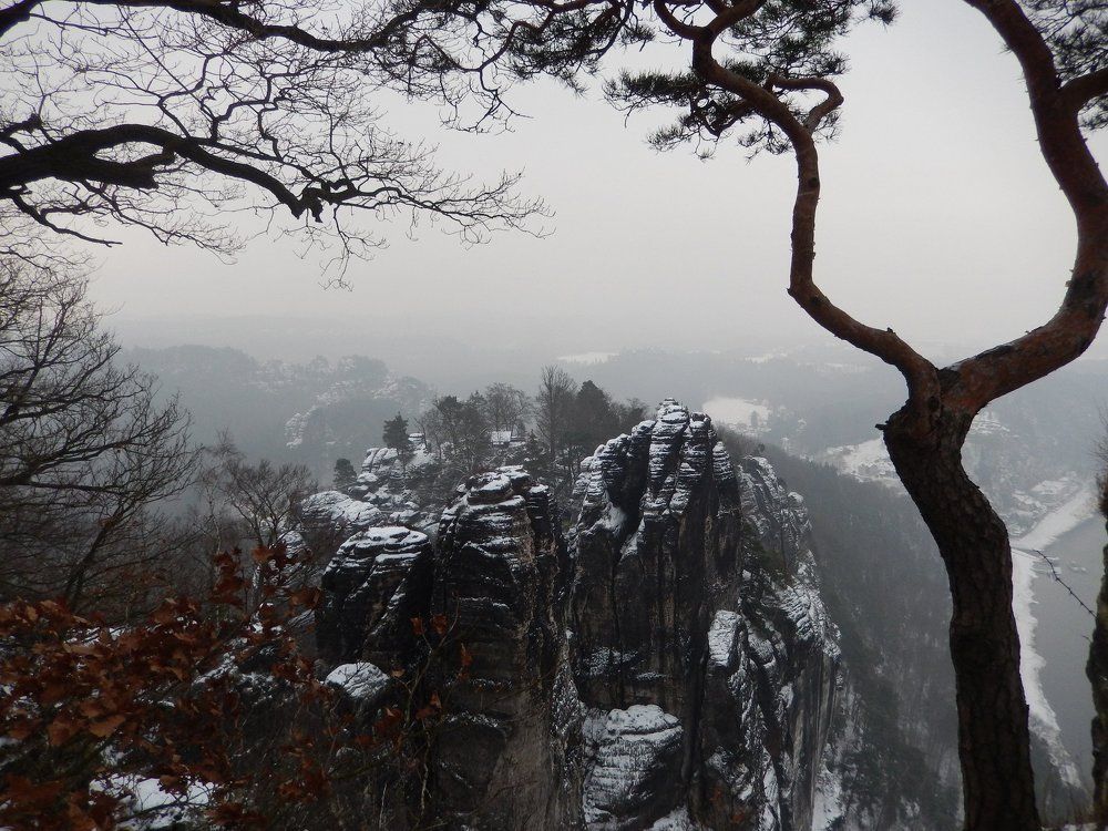 Photograph by olga1020@list.ru