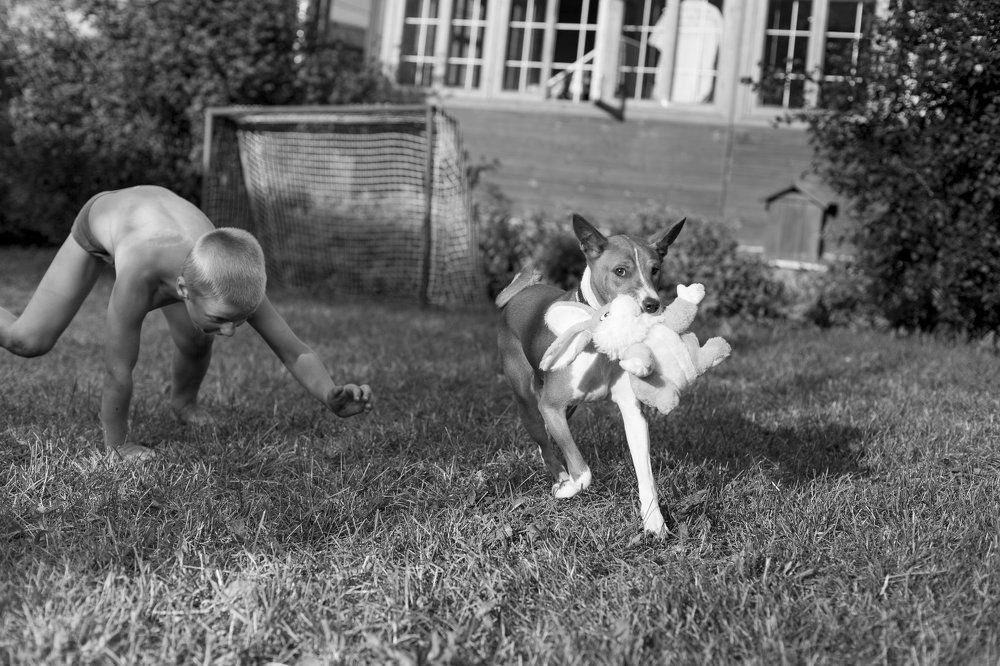 А ну-ка догони!