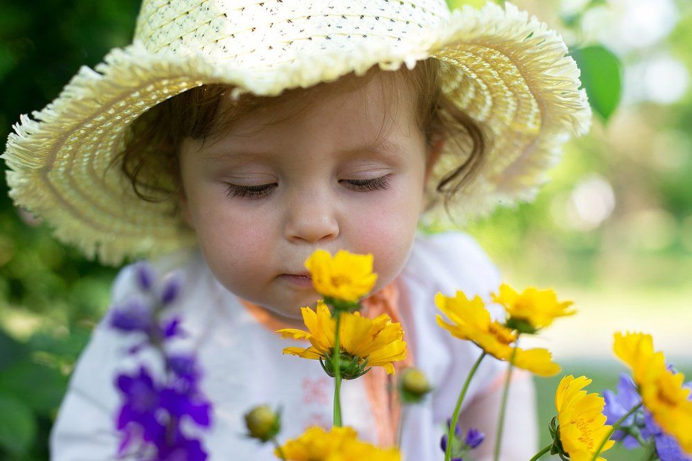 Photograph by Ольга