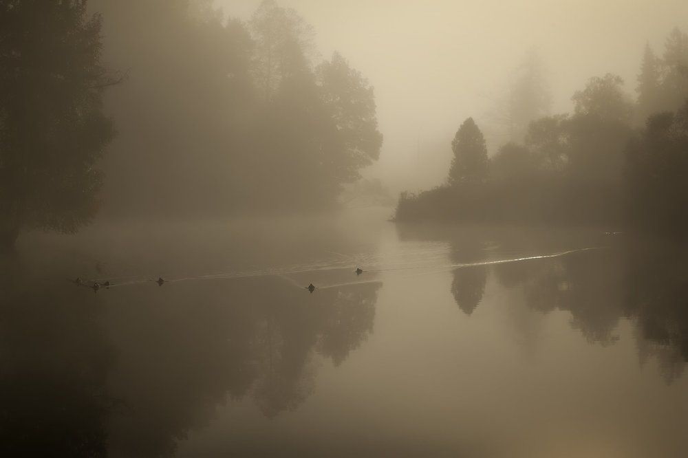 Приютинские зарисовки