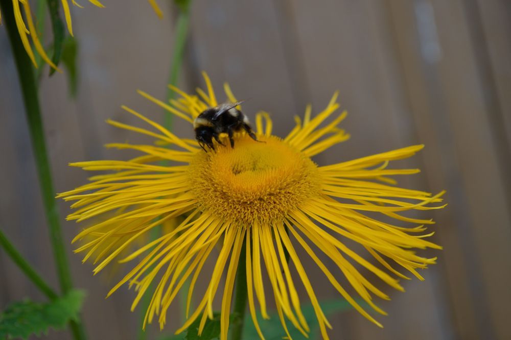 Photograph by Настя