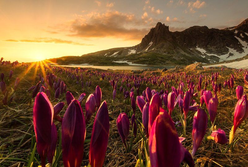 Симеон Симеонов, Bulgaria