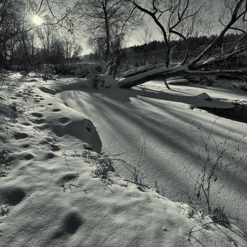 Dmitry Zotov, Russia