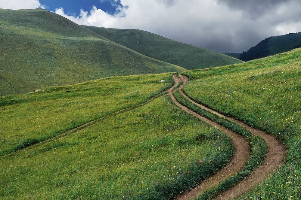 Параллельные кривые