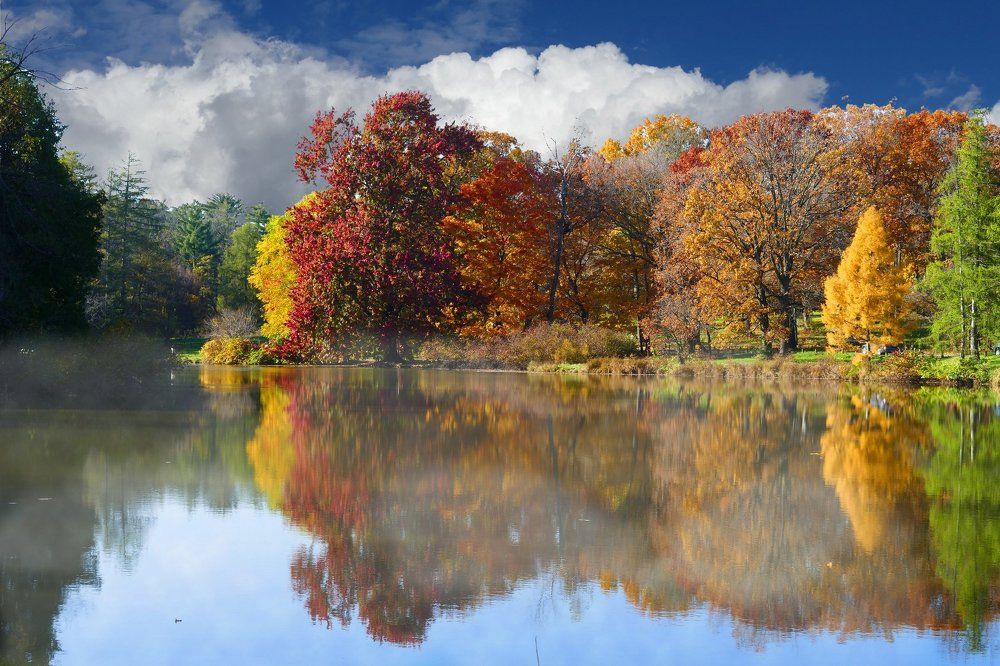 Photograph by joe arrigo