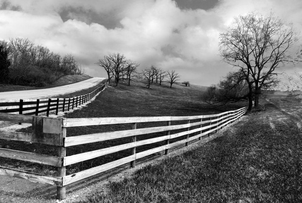 fenced in meadow