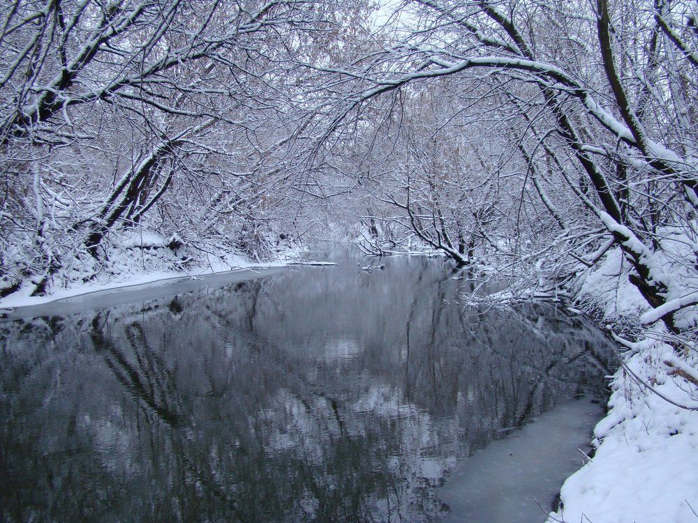 Зеркальная тишина