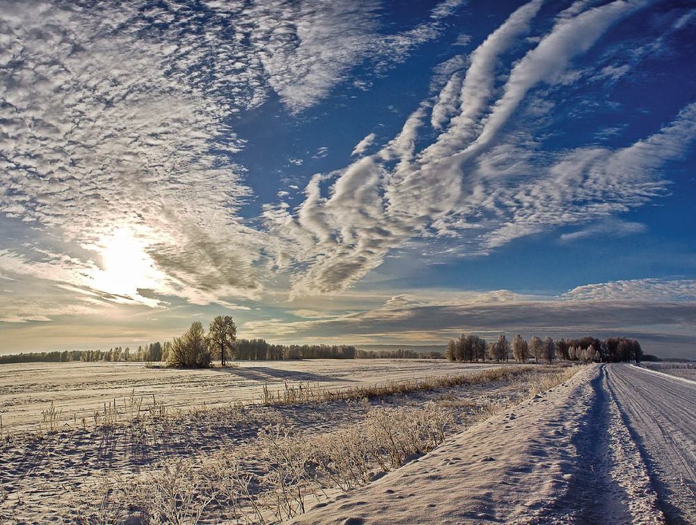 Зимним днём