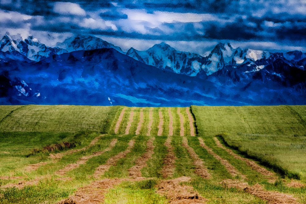 Фотография автора Евгений Степанов