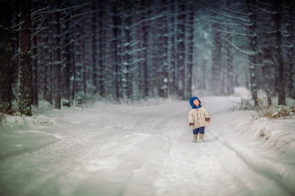 Когда деревья были большими..
