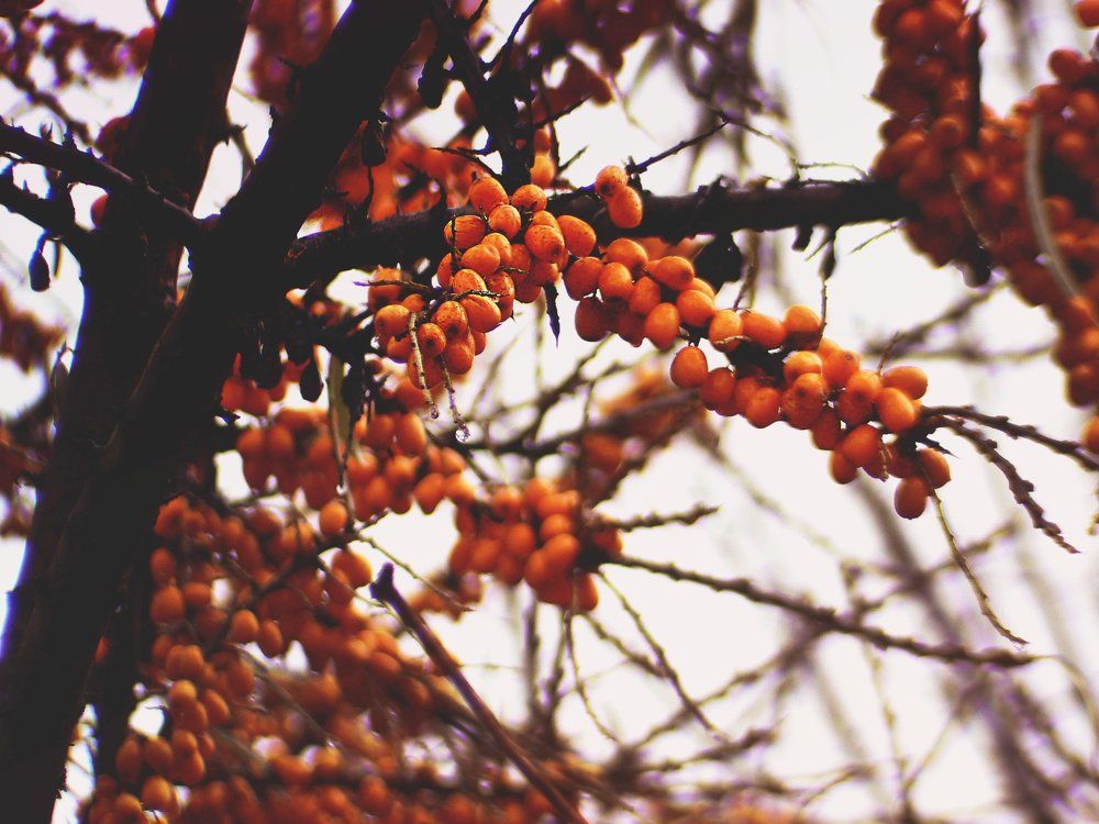 Photograph by Алина