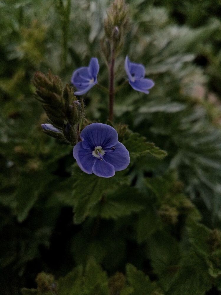 Photograph by Кара Майорова