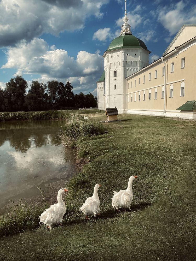 Photograph by Анна Квашневская