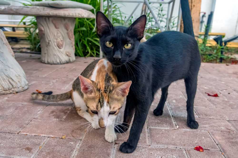 Photograph by Демьян Лопатов