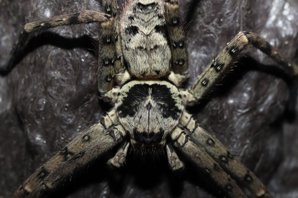 Photograph by Se Lena