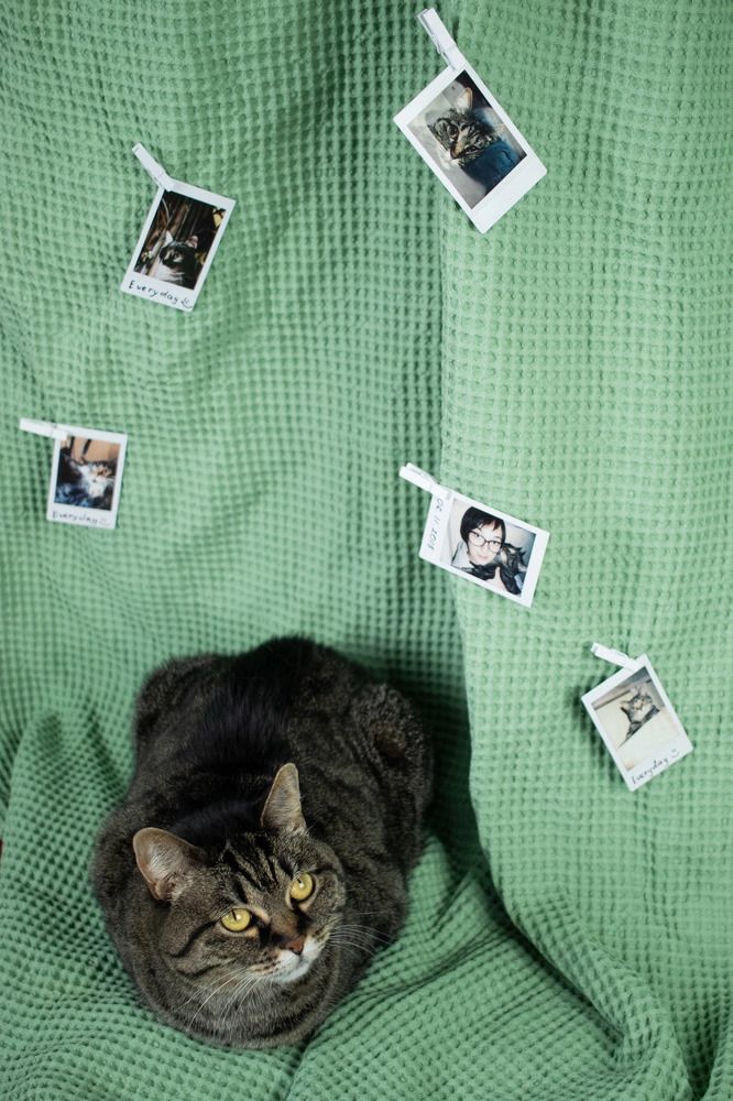 Photograph by Екатерина Талалай