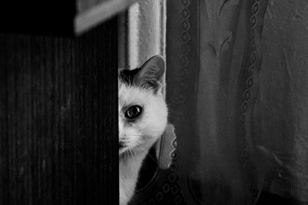 Фотография автора Екатерина Першина