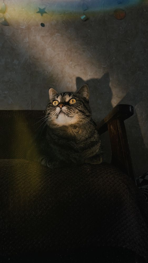 Photograph by Екатерина Талалай