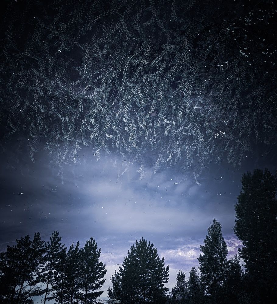 Photograph by Лапшина Владлена