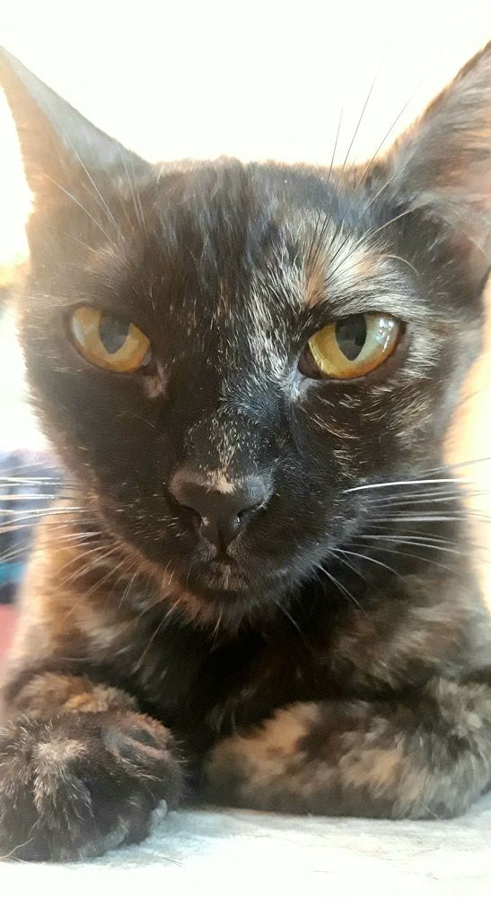 Photograph by Debora