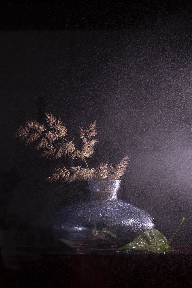 Photograph by Екатерина Бурикова