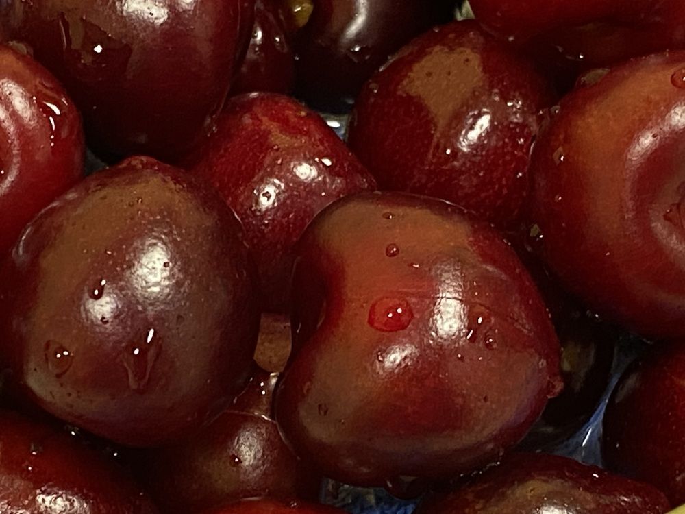 Фотография автора Анна Могилева