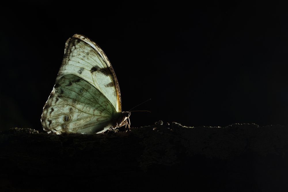 Photograph by Laura Reyes